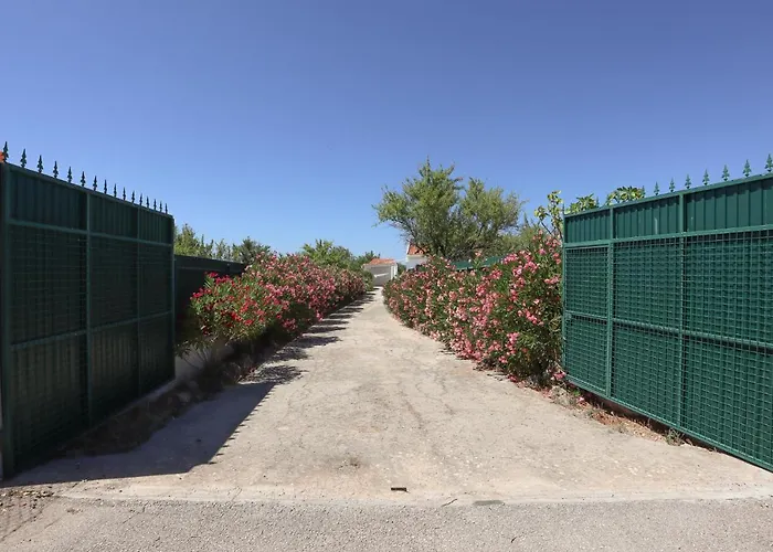 Monte Bixo - Free Wifi . Swimmning Pool - By Bedzy Assumadas